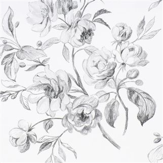 Обои Designers Guild Flowers Volume 1 Watelet P540/01